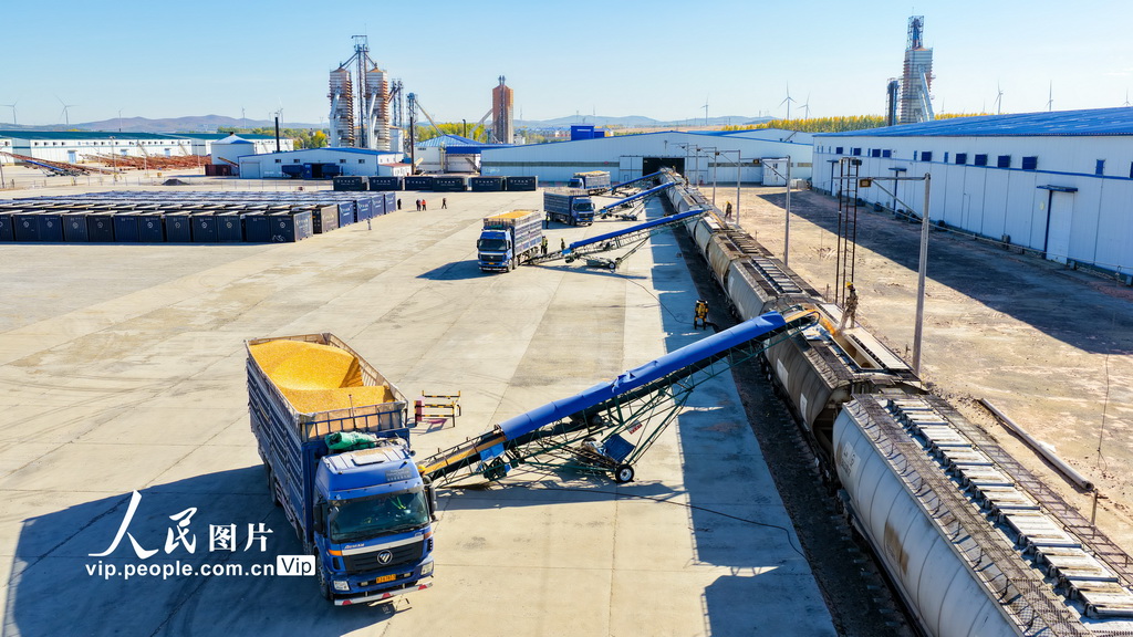 黑龙江省开行首趟粮食集港图定直达货运班列【4】