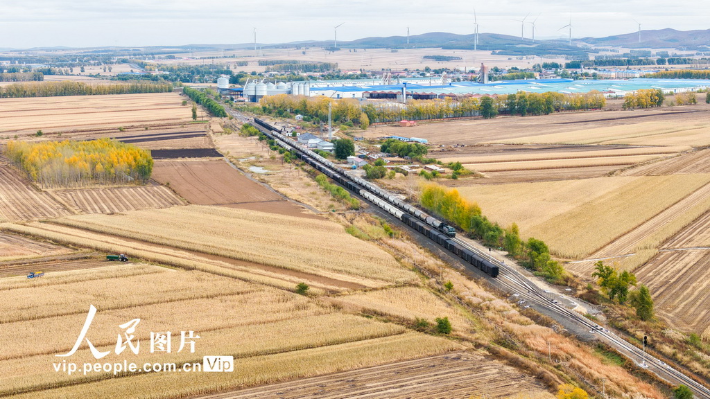黑龙江省开行首趟粮食集港图定直达货运班列【5】