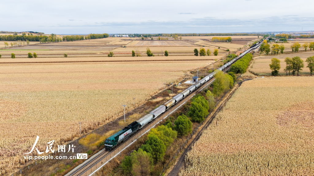 黑龙江省开行首趟粮食集港图定直达货运班列【2】