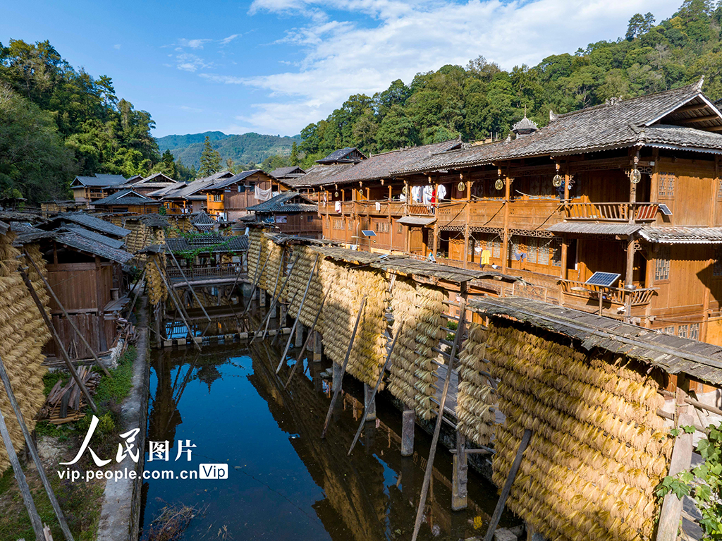 贵州从江：侗寨“晒秋”【4】