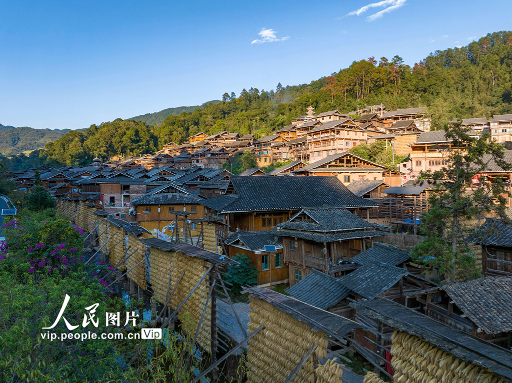 贵州从江：侗寨“晒秋”【7】