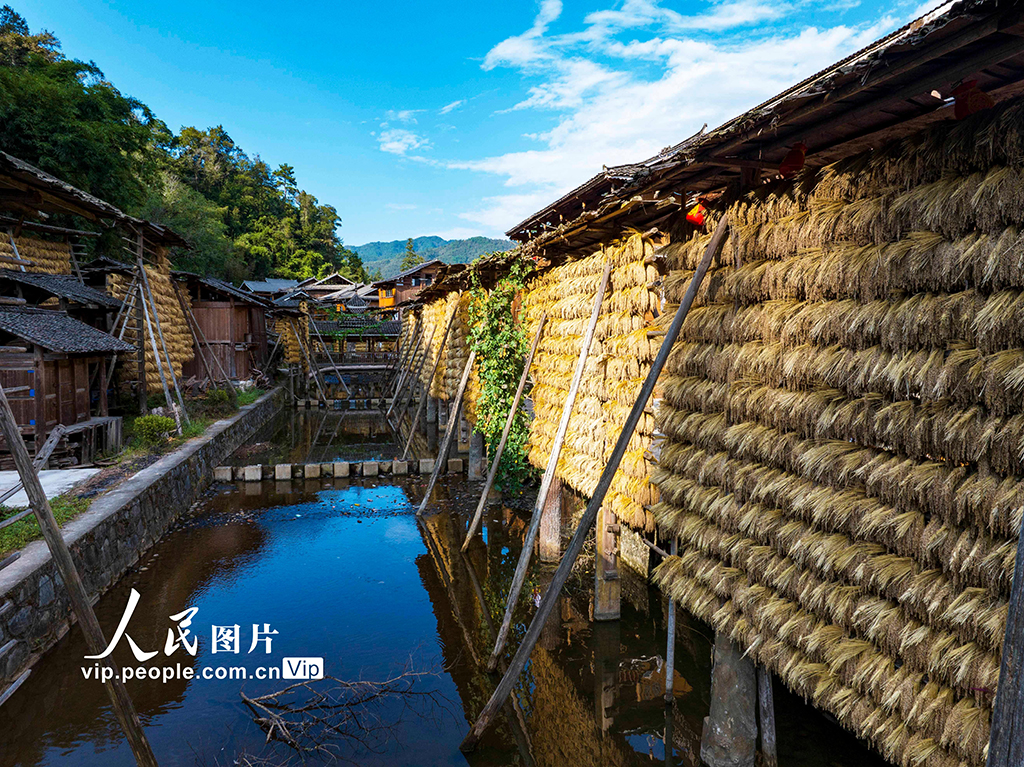 贵州从江:侗寨“晒秋”【2】