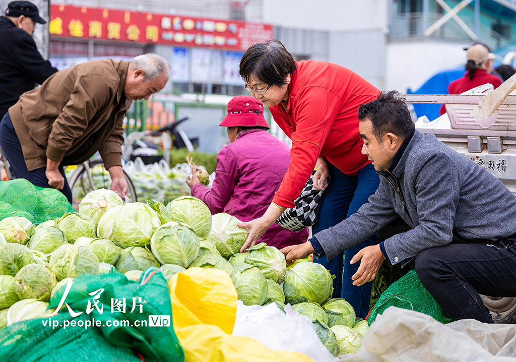 内蒙古呼和浩特：冬储菜上市 价格亲民受热捧【2】