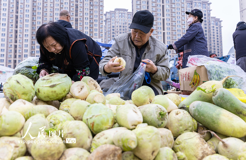 内蒙古呼和浩特：冬储菜上市 价格亲民受热捧【3】