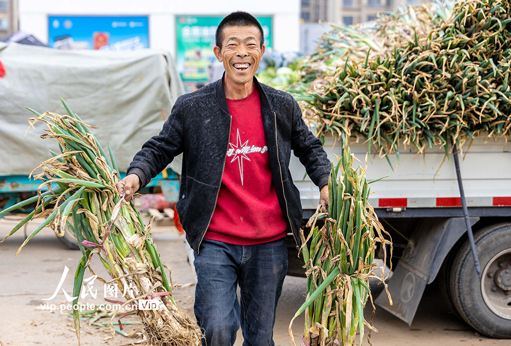 内蒙古呼和浩特：冬储菜上市 价格亲民受热捧【4】