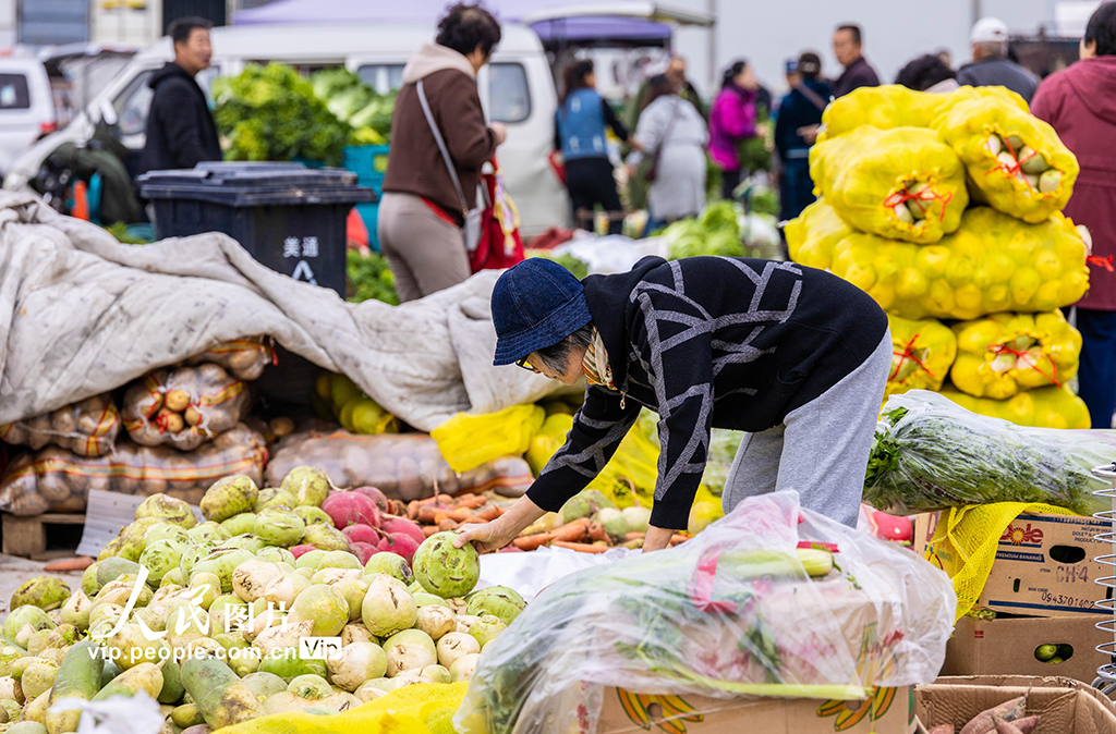 内蒙古呼和浩特：冬储菜上市 价格亲民受热捧