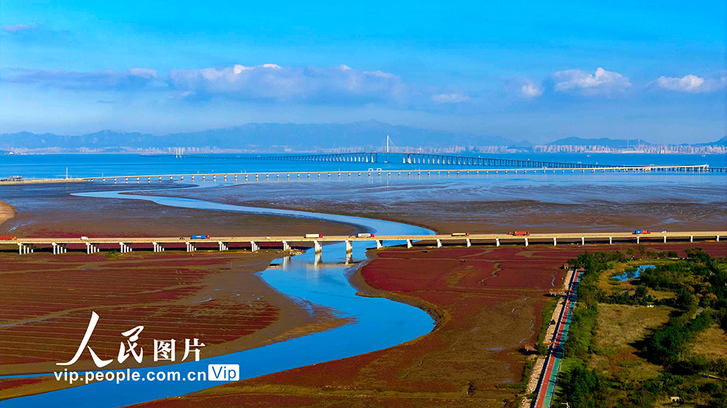 山東青島：紅海灘絢麗多彩【2】