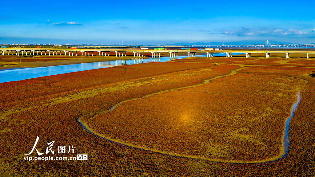 山東青島：紅海灘絢麗多彩【3】