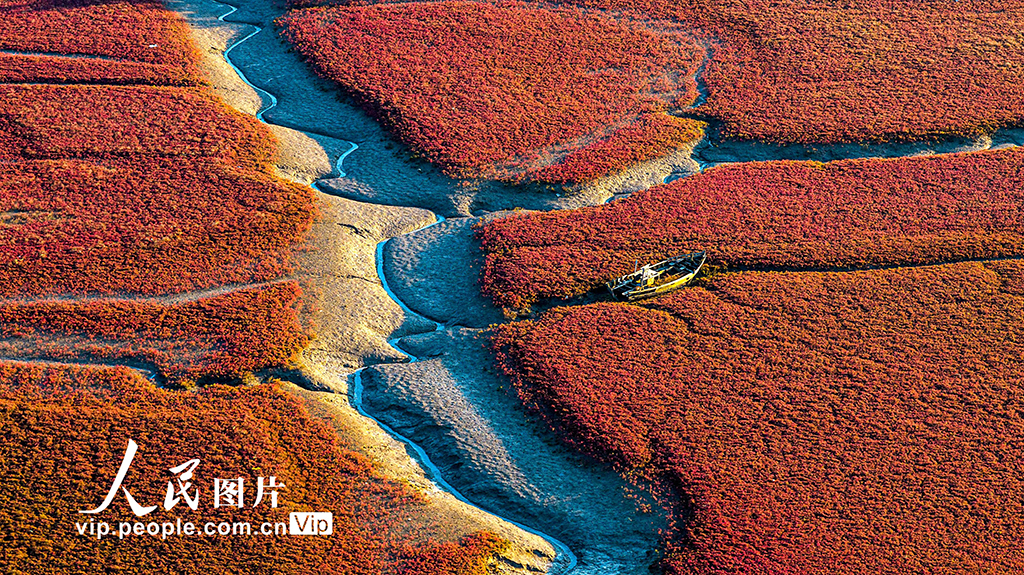 山東青島：紅海灘絢麗多彩【5】