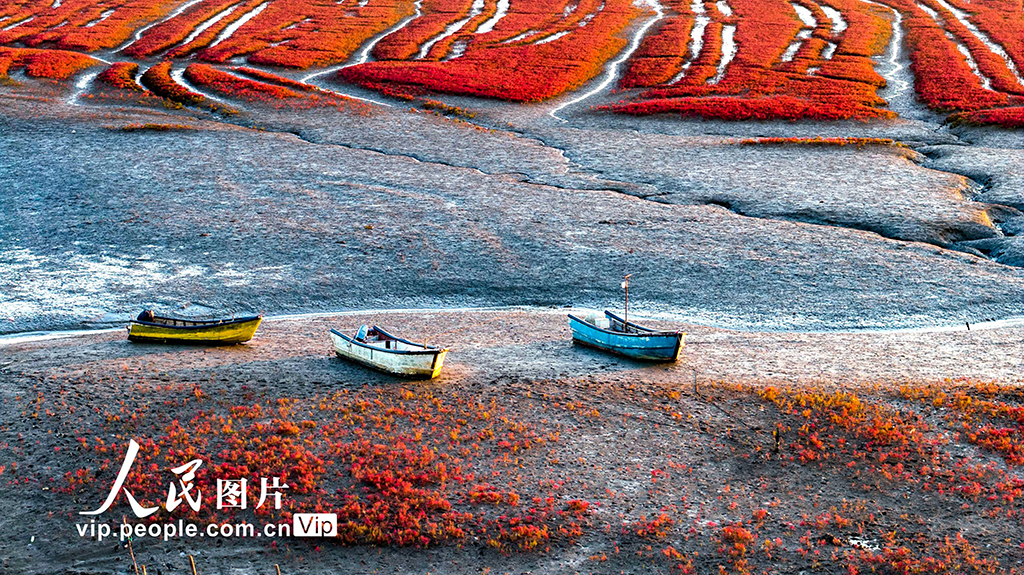 山東青島：紅海灘絢麗多彩【7】