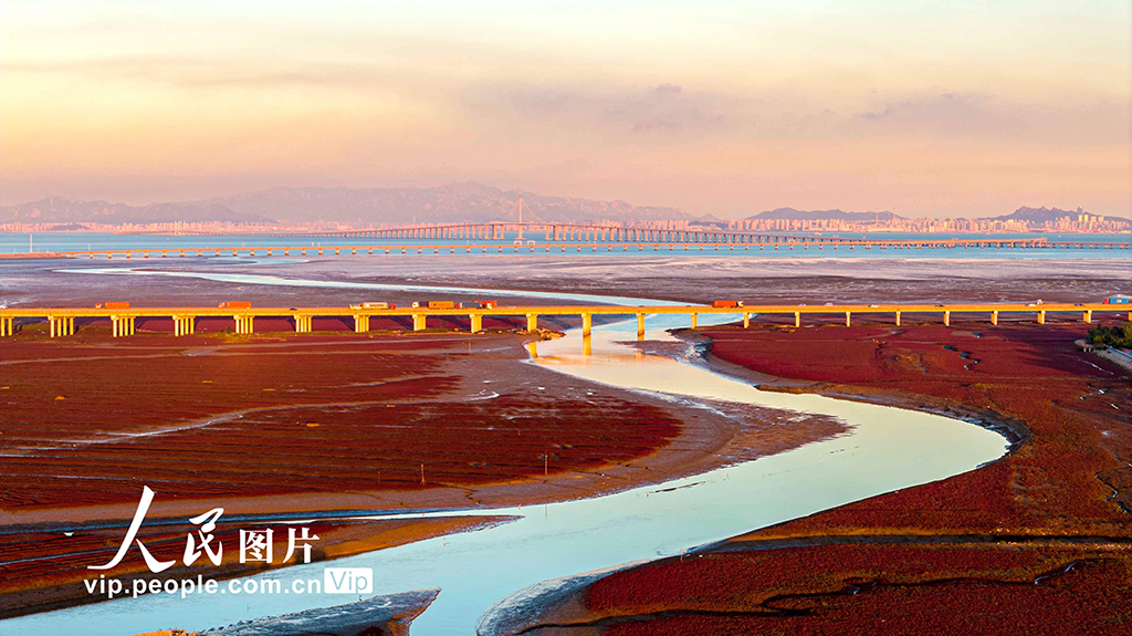 山東青島：紅海灘絢麗多彩【8】