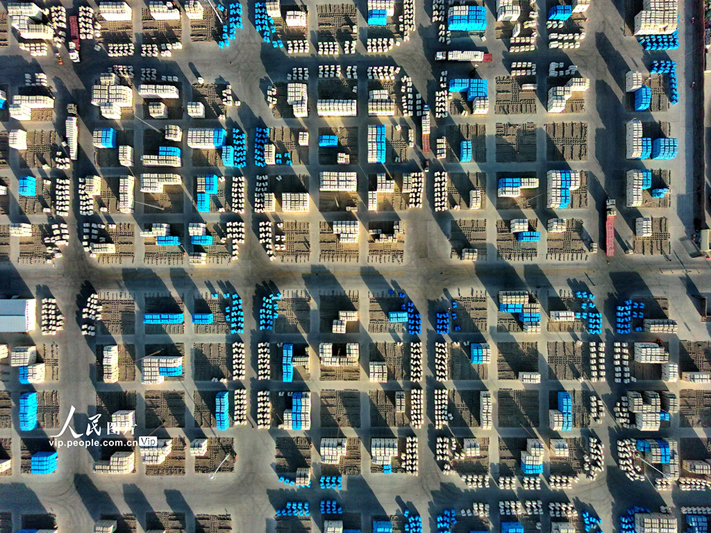 新疆阿拉尔：新棉入库【5】