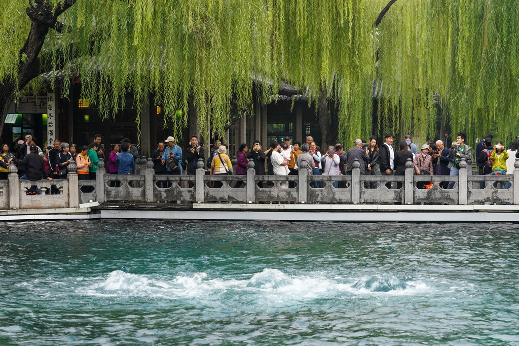 10月15日，游客在济南趵突泉公园观光游览。趵突泉实时水位达到30.32米，刷新1966年以来的最高水位纪录。