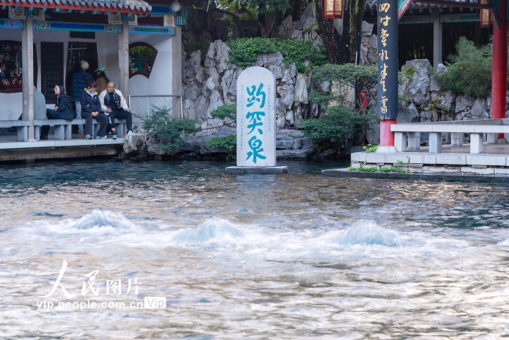 山東濟南：趵突泉再現“趵突騰空”景象【3】