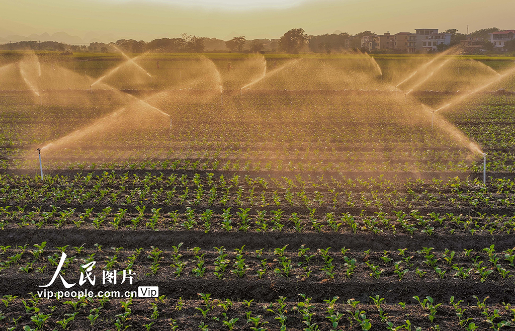 湖南道县：节水灌溉促增收【3】