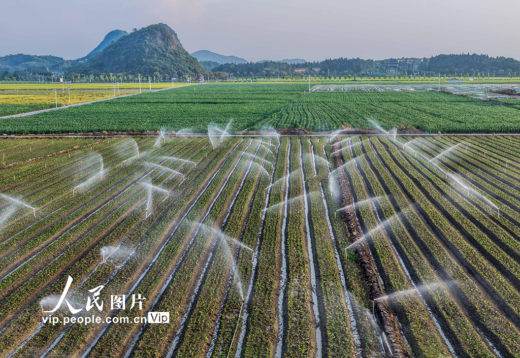 湖南道县：节水灌溉促增收【5】