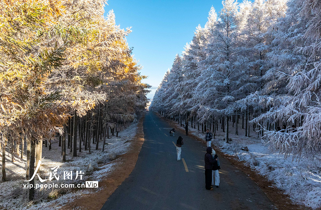 內蒙古呼和浩特：哈達門國家森林公園霧凇美如畫【3】