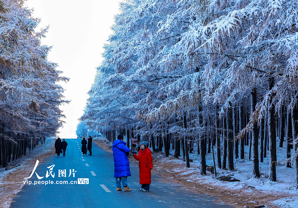 內蒙古呼和浩特:哈達門國家森林公園霧凇美如畫【5】