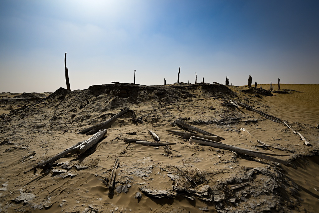 這是尼雅遺址內建筑遺跡等（10月17日攝）。