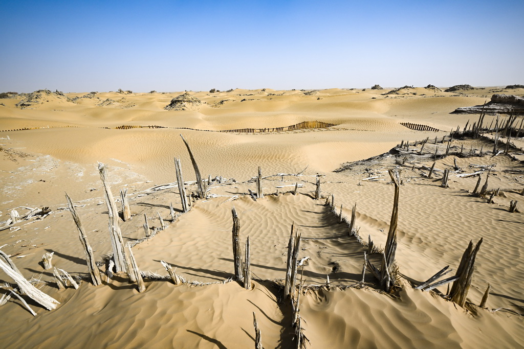 這是尼雅遺址內建筑遺跡等(10月17日攝)。
