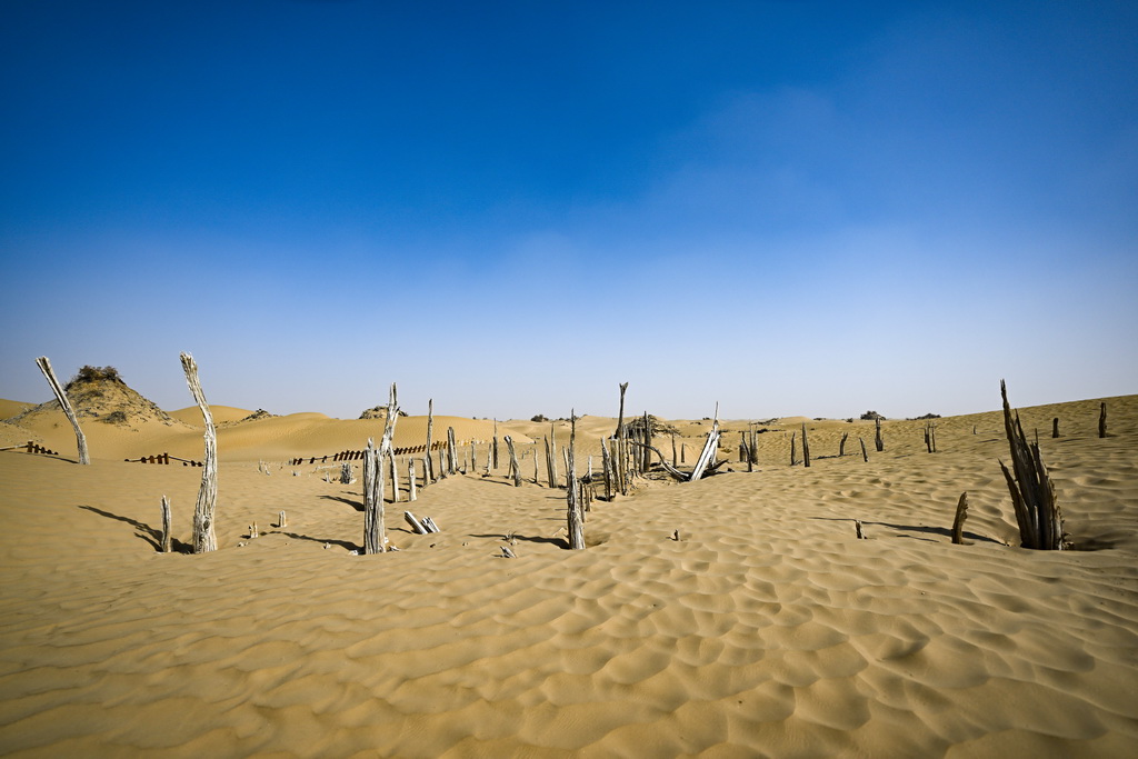 這是尼雅遺址內建筑遺跡等（10月17日攝）。