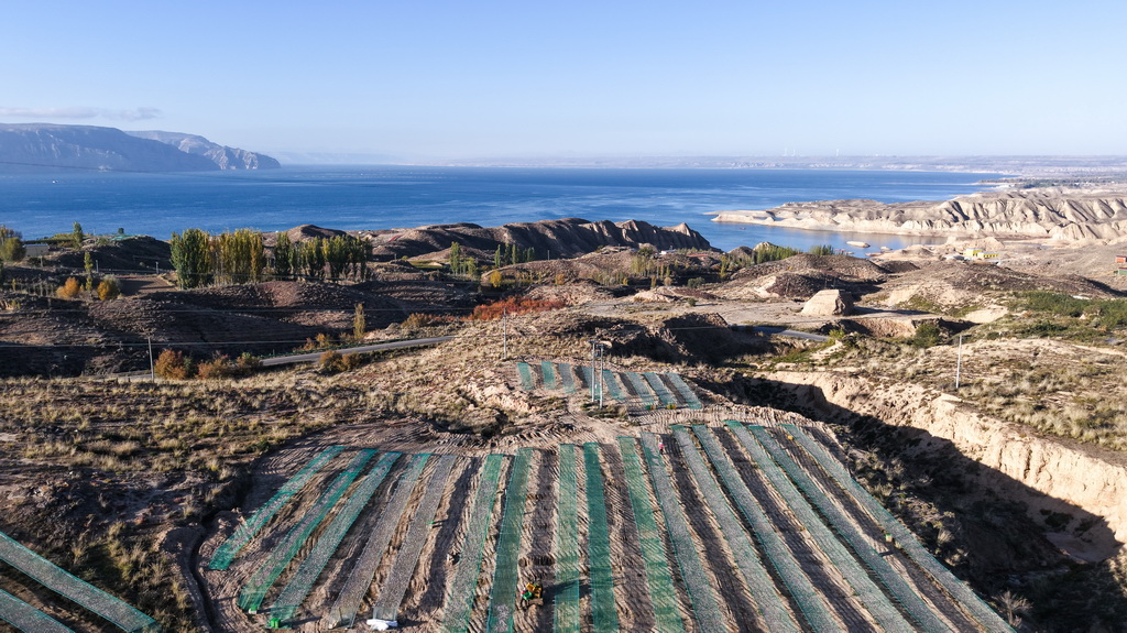 10月18日拍攝於青海省海南藏族自治州共和縣龍羊新村龍羊峽海湖漁業捕撈合作社的小銀魚晾晒網(無人機照片)。