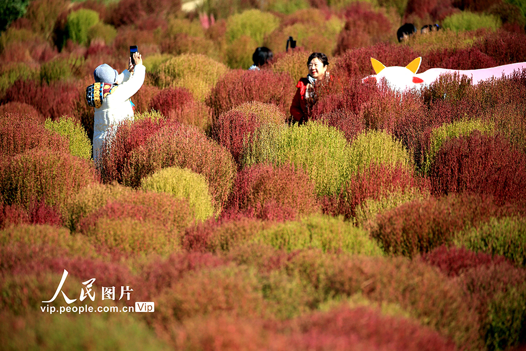 遼寧沈陽：賞秋正當時【3】