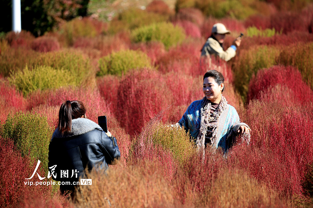 遼寧沈陽：賞秋正當時【5】