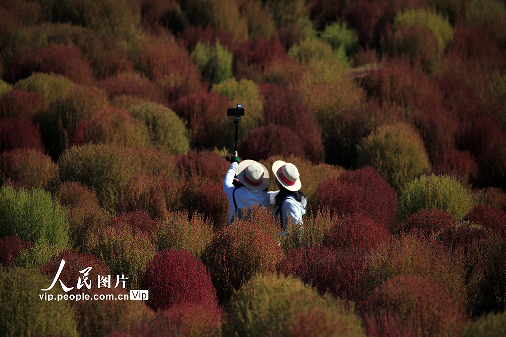 遼寧沈陽：賞秋正當時【6】