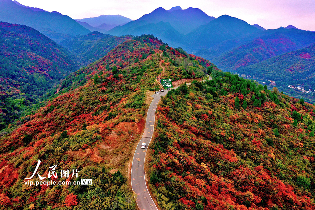 山西平陸：中條山紅葉迎來最佳觀賞期【2】