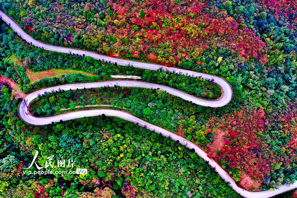 山西平陸：中條山紅葉迎來最佳觀賞期【6】