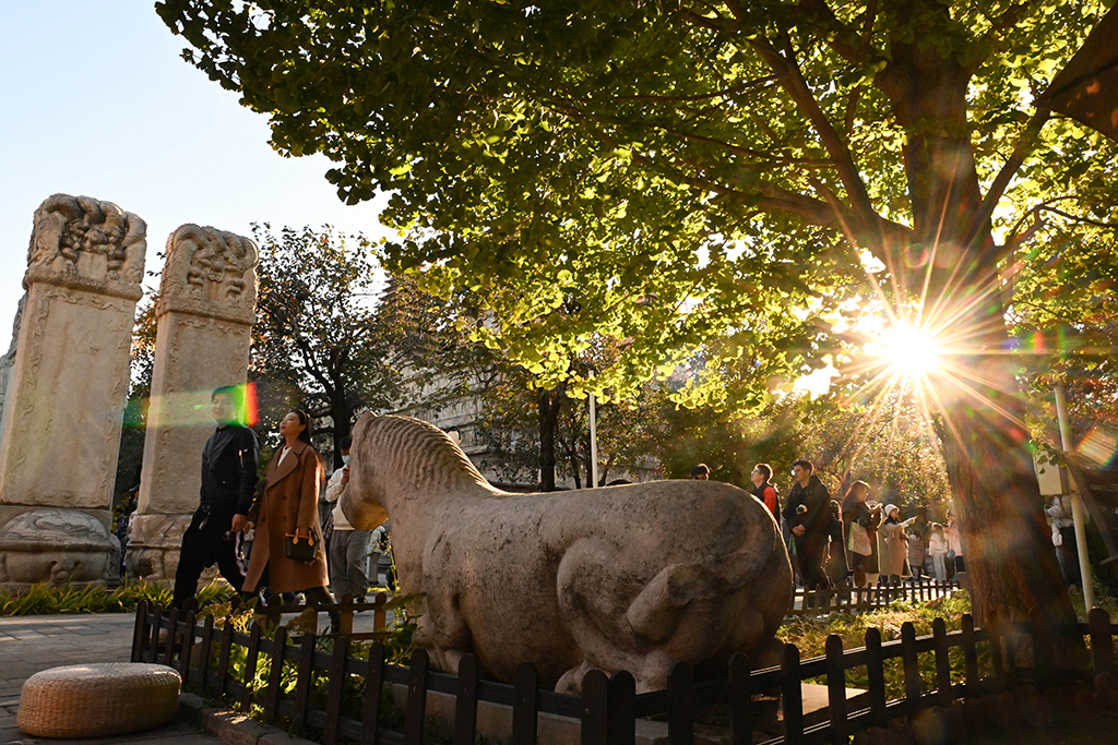 10月26日，游客在北京石刻藝術博物館游覽。