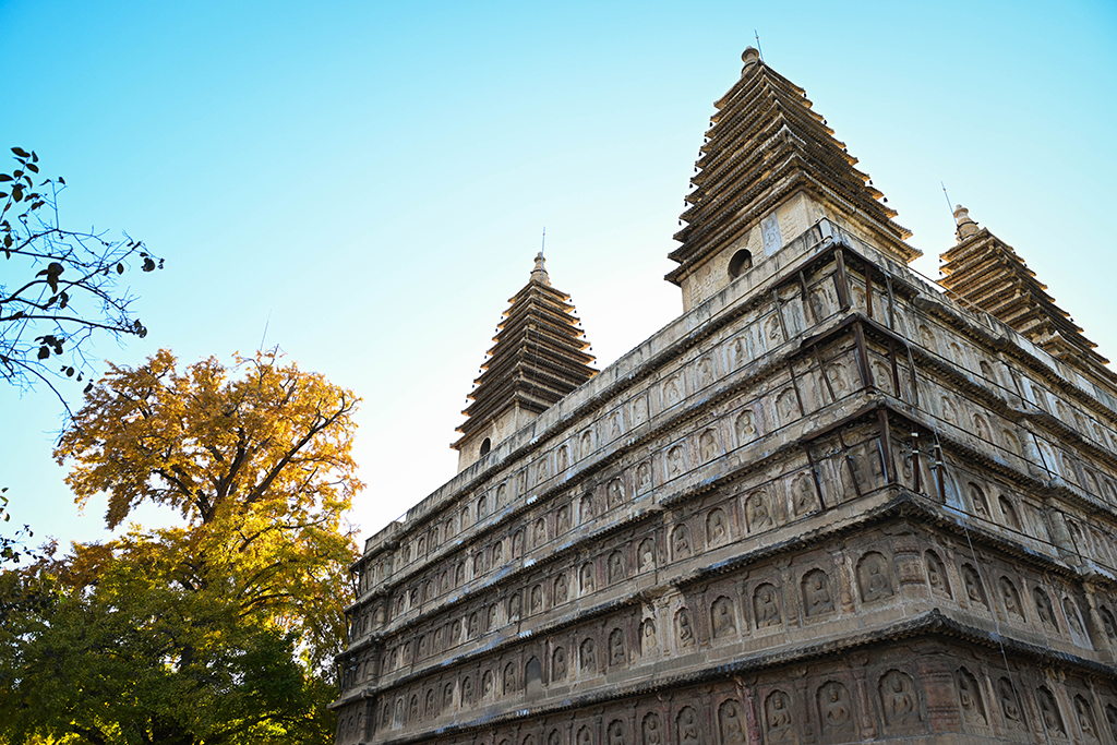 金剛寶座塔與泛黃的銀杏樹相映成趣（10月26日攝）。