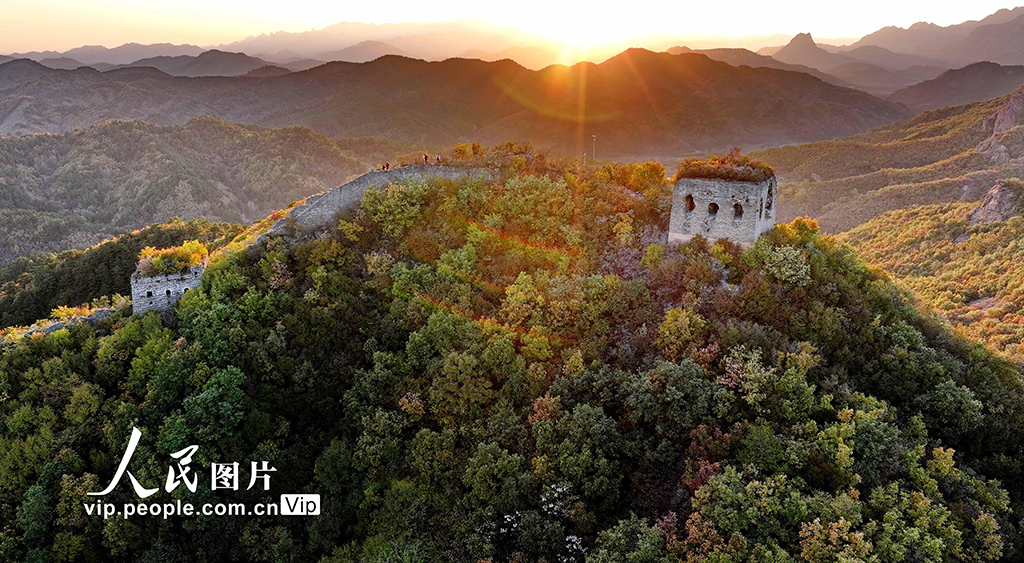 河北秦皇島：彩葉映長城【4】