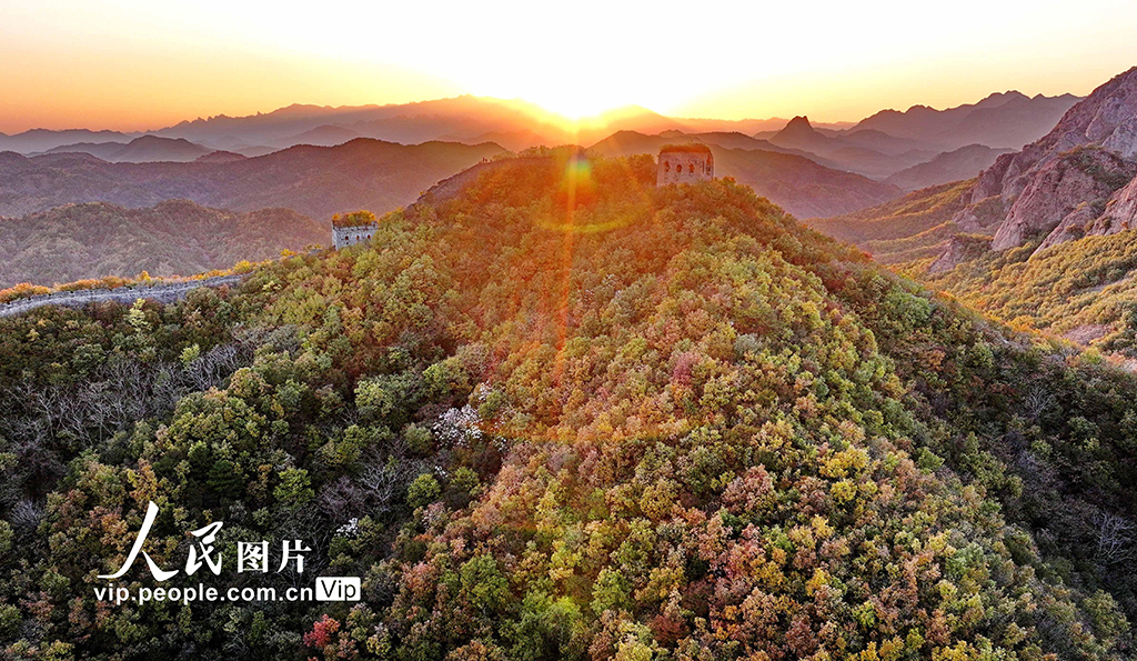 河北秦皇島：彩葉映長城【7】