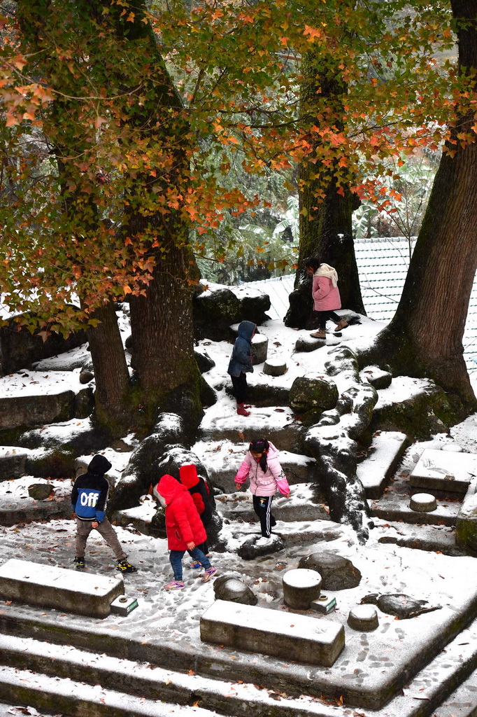 在广西柳州市融水苗族自治县杆洞乡乌英苗寨,孩子们在树下玩雪(2021年12月26日摄)。