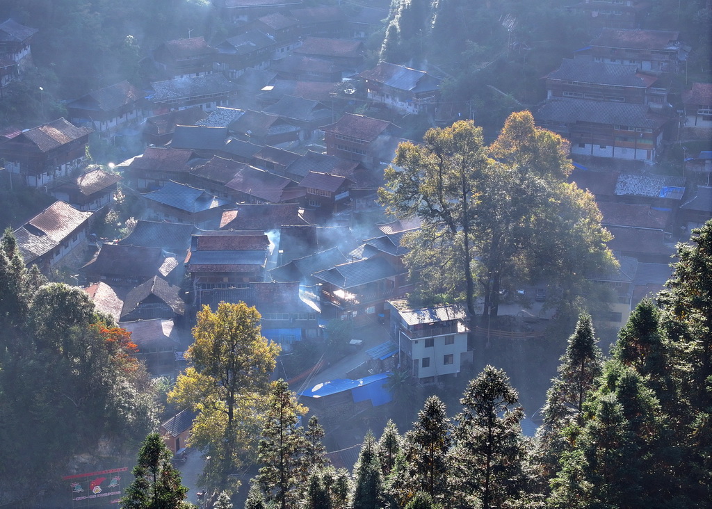树木掩映下的广西柳州市融水苗族自治县杆洞乡乌英苗寨(无人机照片,2024年11月9日摄)。