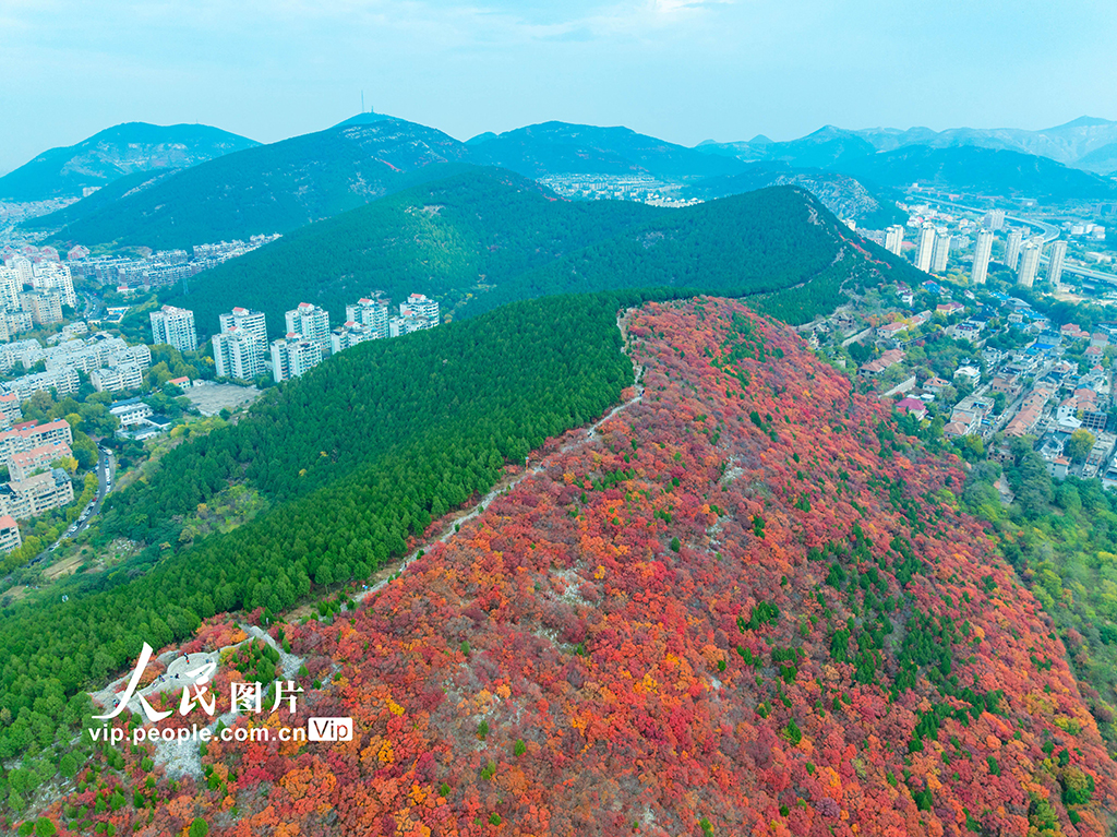 山东济南：看秋色“平分”【2】