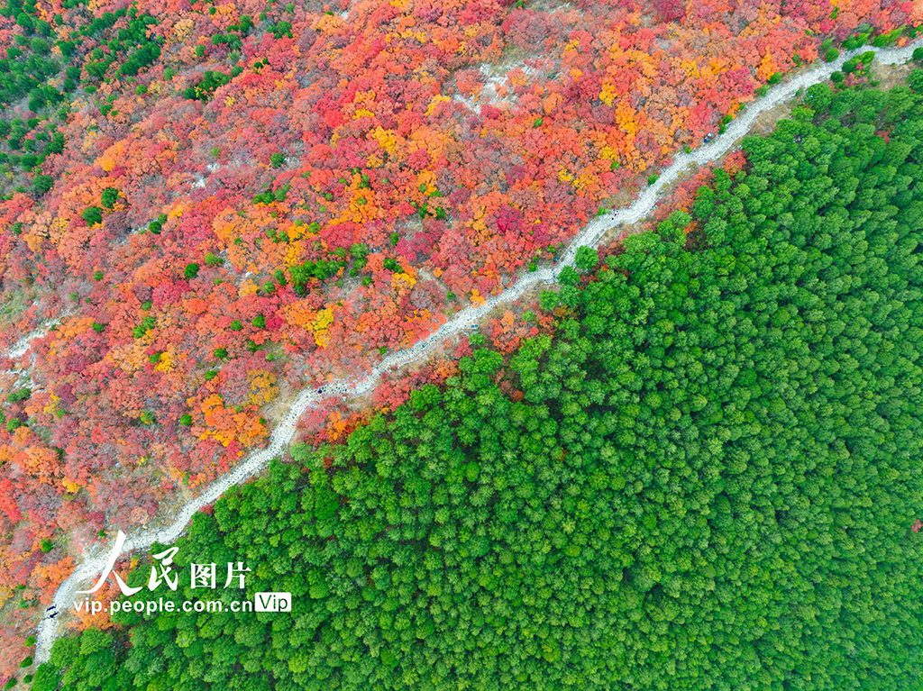 山东济南：看秋色“平分”【3】