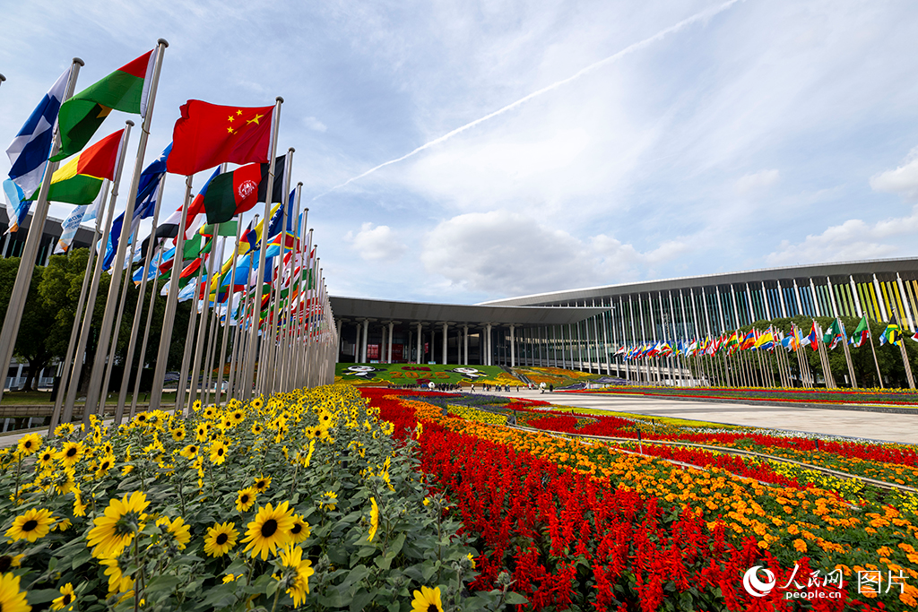 上海：花团锦簇 国旗飘扬迎盛会【4】