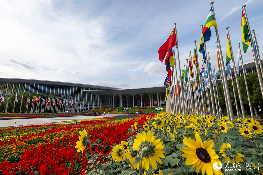 上海：花团锦簇 国旗飘扬迎盛会【6】