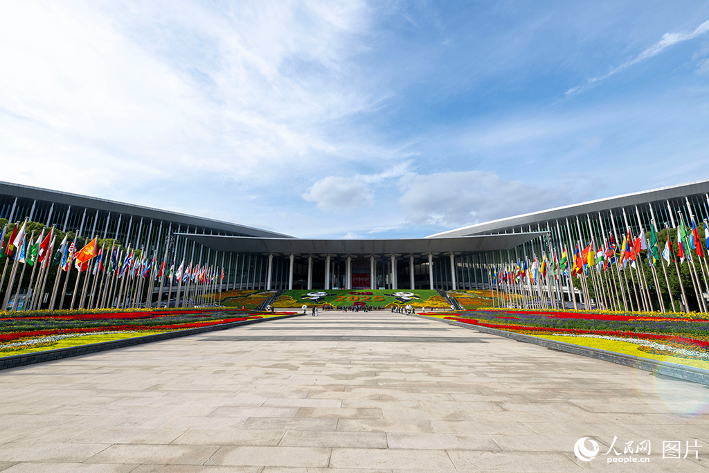 上海：花团锦簇 国旗飘扬迎盛会【7】