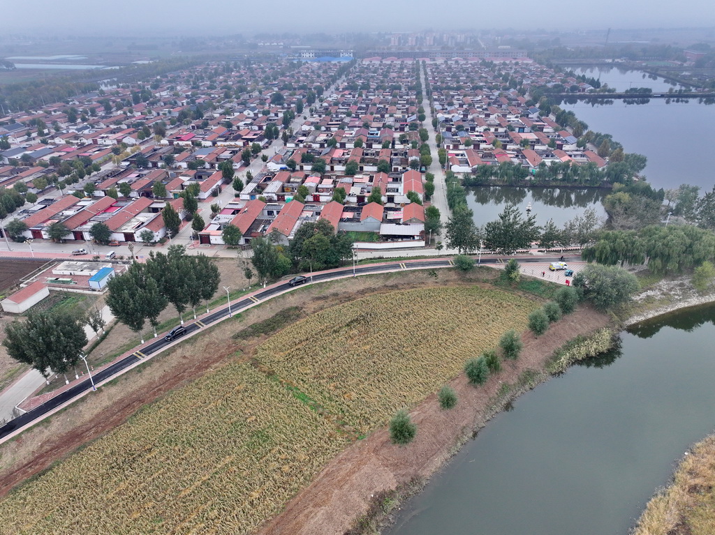 河北省沧州市青县境内大运河堤顶路沿线的村庄（10月31日摄，无人机照片）。