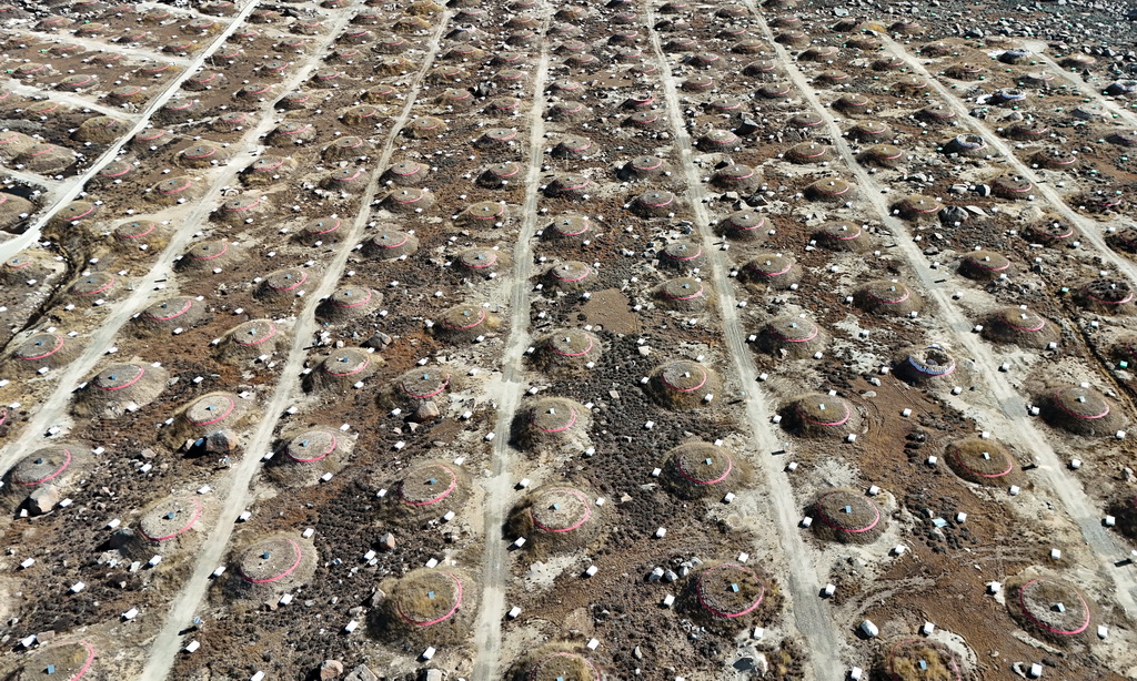 这是地面簇射粒子探测器阵列。埋在一个个“大土包”下面的1188个缪子探测器，和地面上一个个如“方盒子”的5216个电磁粒子探测器，它们共同组成地面簇射粒子探测器阵列（10月28日摄，无人机照片）。