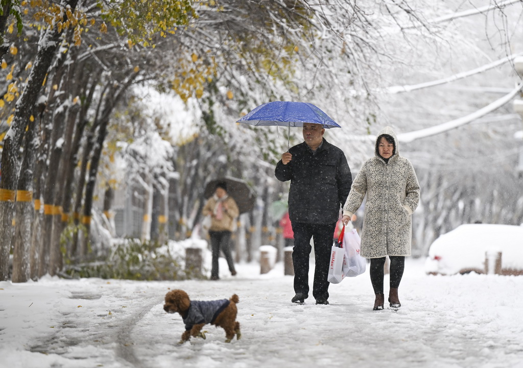 11月6日，在乌鲁木齐市红山路，市民在雪中出行。新华社记者 王菲 摄
