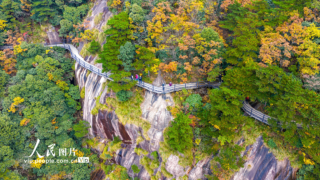 安徽池州：漫步高空棧道 欣賞絢麗秋色【5】