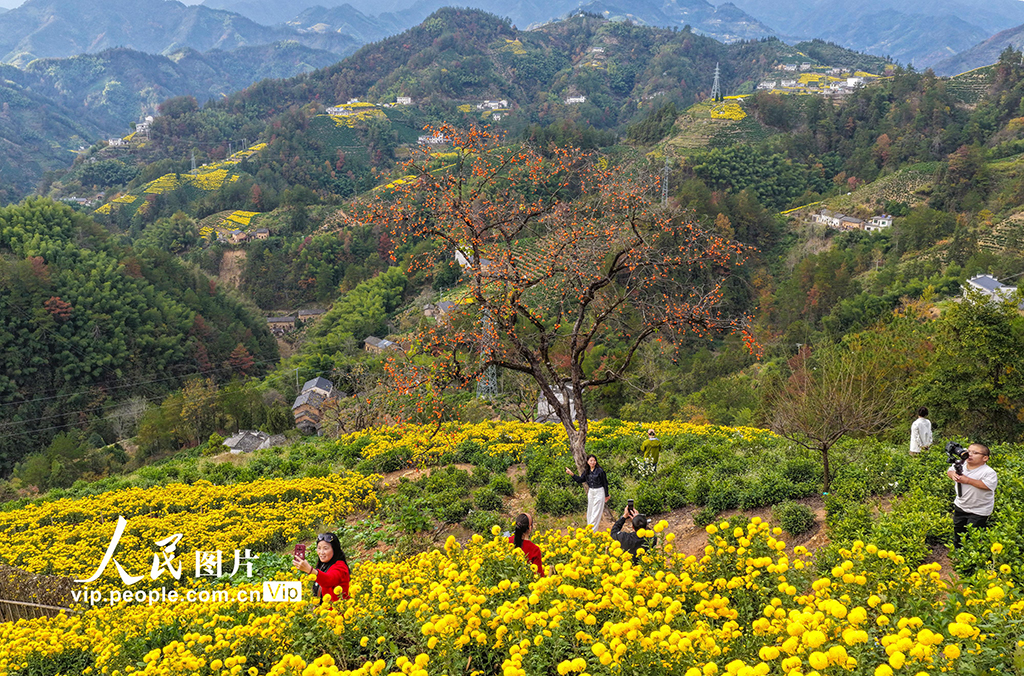 安徽歙縣：山鄉景色美【2】