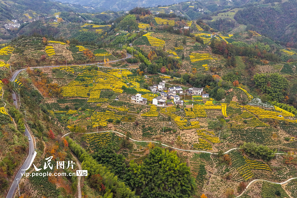 安徽歙縣:山鄉景色美【6】