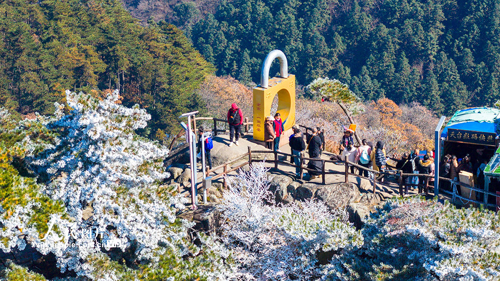安徽池州：九華山天台景區銀裝素裹【4】