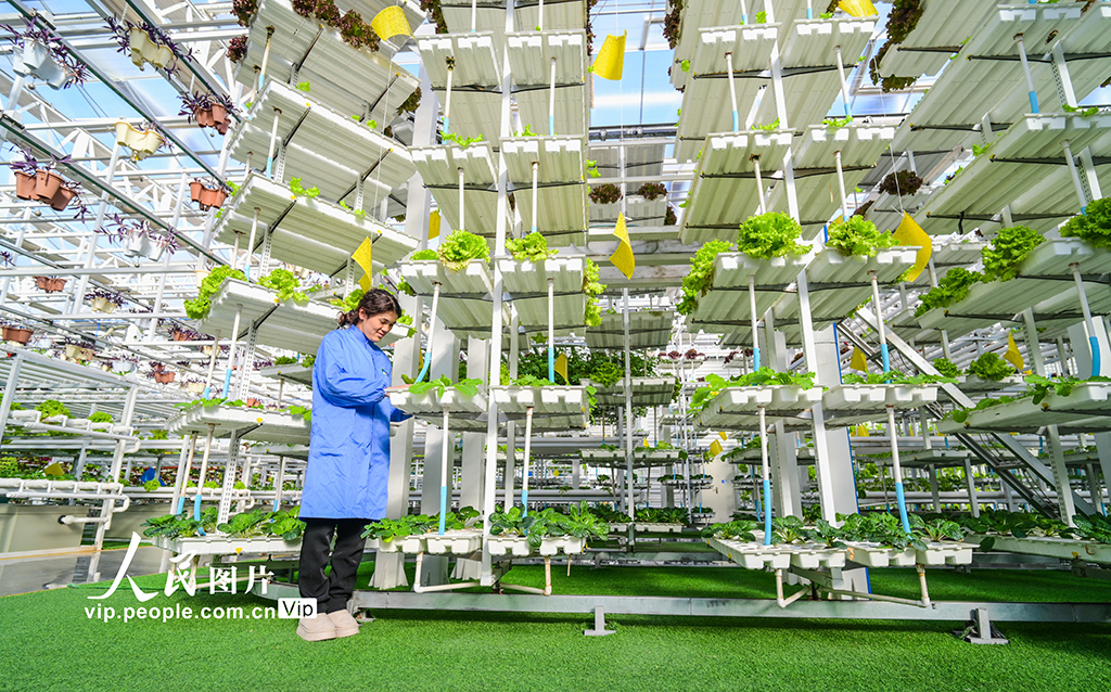 新疆昌吉:智慧农业促发展【7】